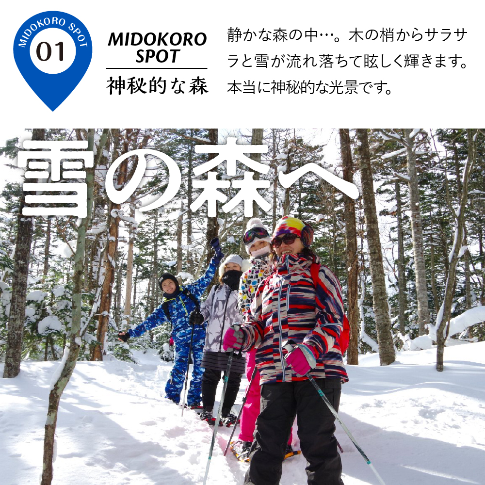 ç¥ç§ã®æ£®ã𿹿²ŒãžïŒç¹å¥ãªã¹ããŒã·ã¥ãŒãã¢ãŒ