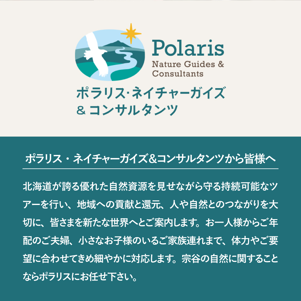 ç¥ç§ã®æ£®ã𿹿²ŒãžïŒç¹å¥ãªã¹ããŒã·ã¥ãŒãã¢ãŒ