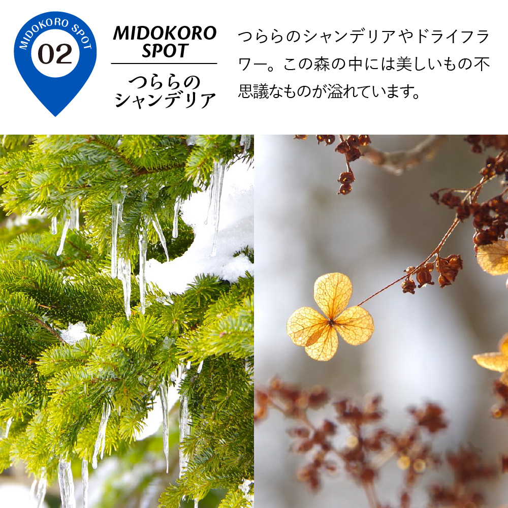 ç¥ç§ã®æ£®ã𿹿²ŒãžïŒç¹å¥ãªã¹ããŒã·ã¥ãŒãã¢ãŒ