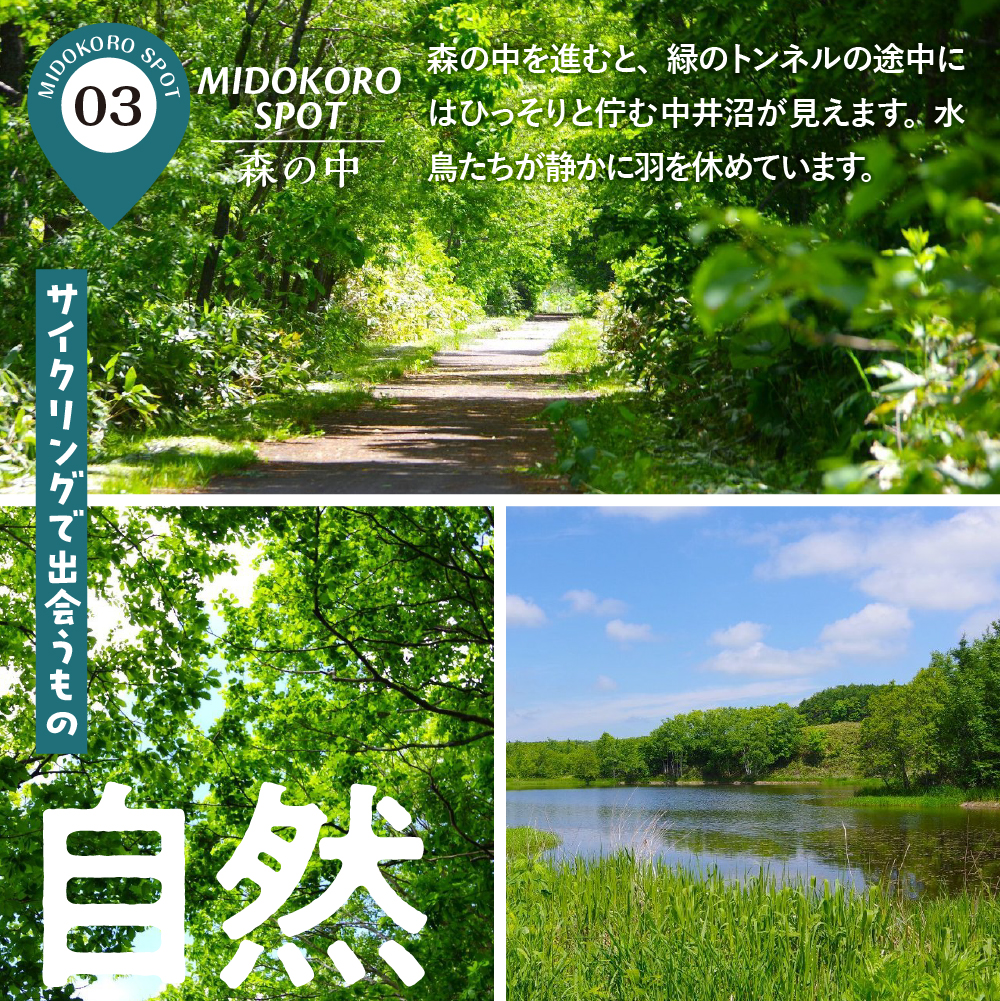 è¶
çµ¶æ¯ïŒãµãããã®äžãšã«ãã§ãå·¡ããµã€ã¯ãªã³ã°ãã¢ãŒ