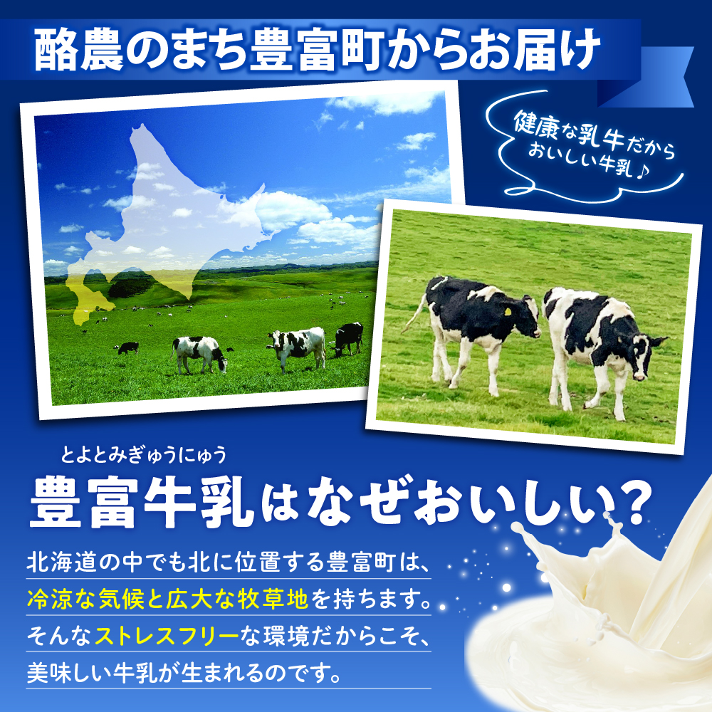 とよとみ牛乳 北海道アイスクリーム バニラ チョコレート 各110ml×6個 計12個