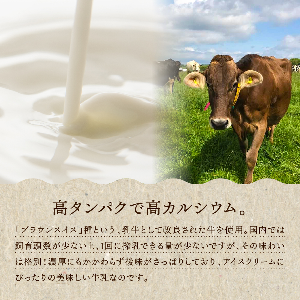 E.den(エデン) 豊富牛乳ジェラート ショコラ 100ml×6個