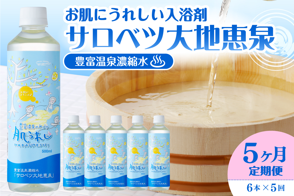 【定期便 5か月連続】 豊富温泉 濃縮温泉水 サロベツ大地恵泉 (1回500ml×6本)