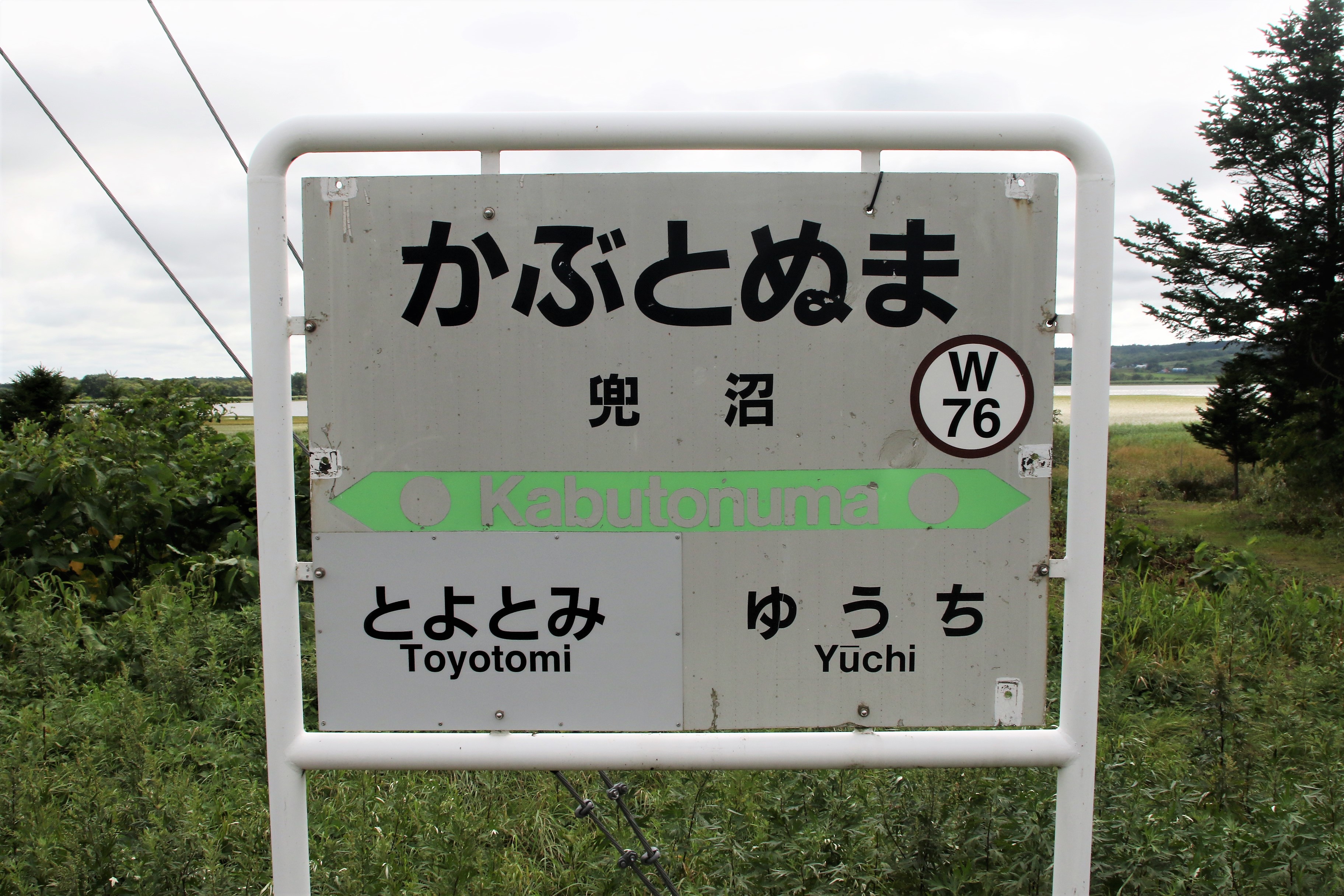 鬧蜷肴ィ吶げ繝繧コ繧サ繝繝 縲仙懈イシ鬧縲