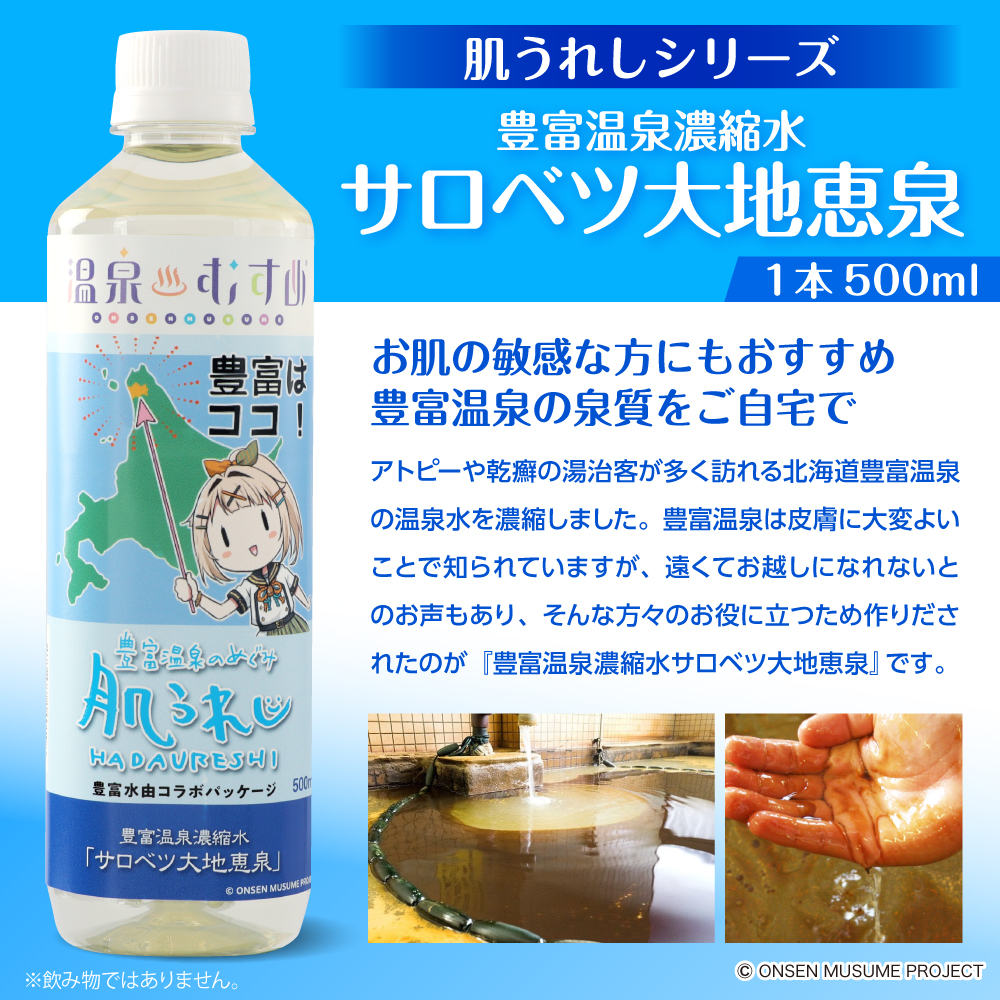 豊富温泉 濃縮温泉水 サロベツ大地恵泉 (500ml×6本)