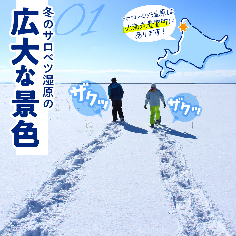 サロベツ湿原体験！スノーシューガイド 1名様 【1〜3月】