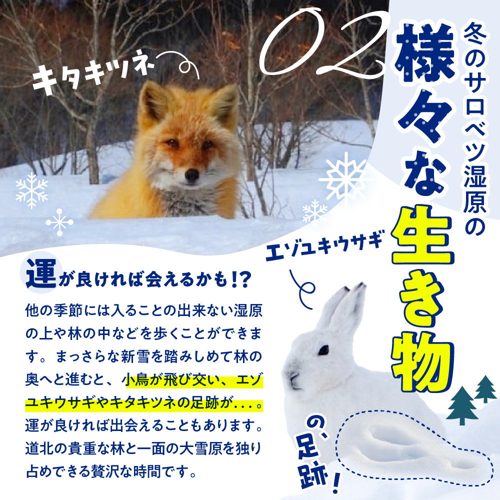 サロベツ湿原体験！スノーシューガイド 1名様 【1〜3月】