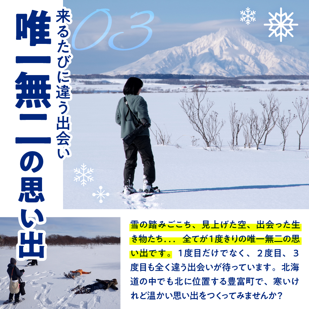 サロベツ湿原体験！スノーシューガイド 1名様 【1〜3月】