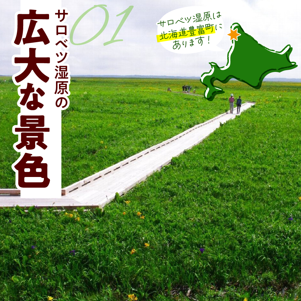 サロベツ湿原体験！木道自然ガイド 1名様【5〜9月】