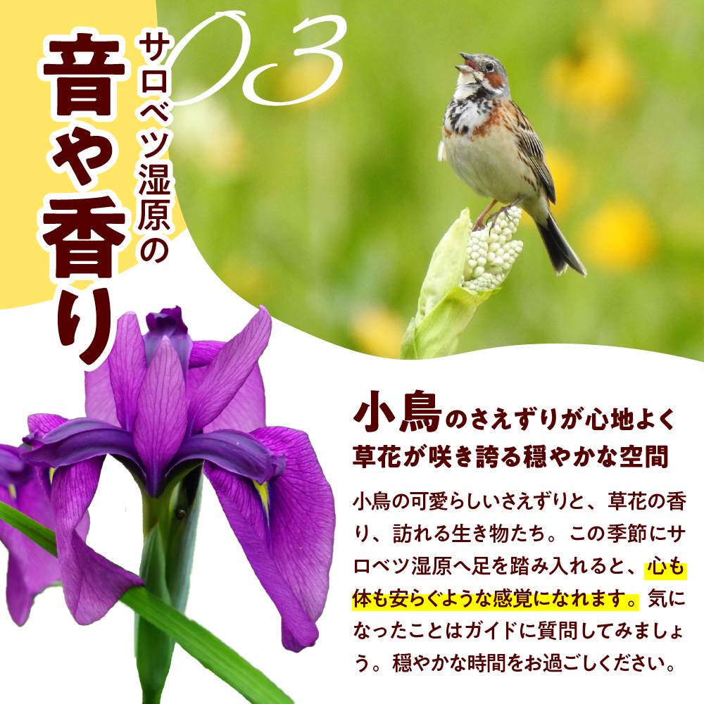 サロベツ湿原体験！木道自然ガイド 1名様【5〜9月】