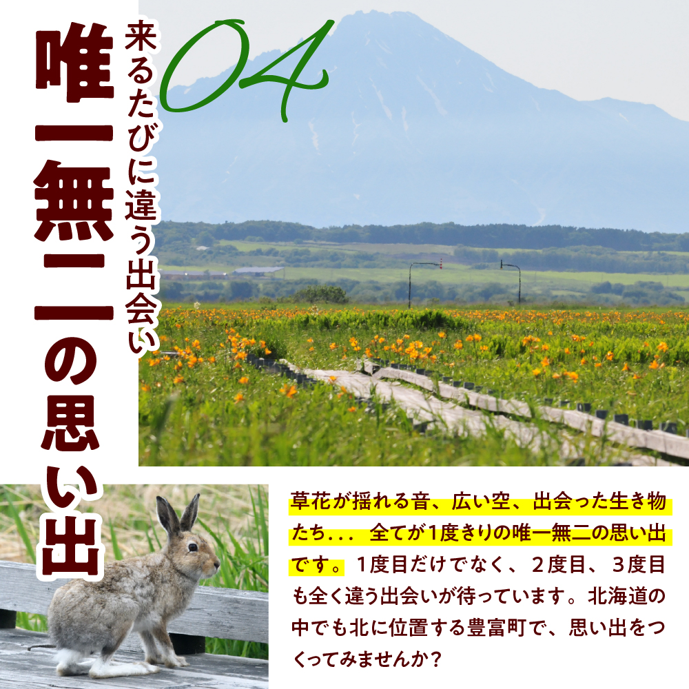サロベツ湿原体験！木道自然ガイド 1名様【5〜9月】