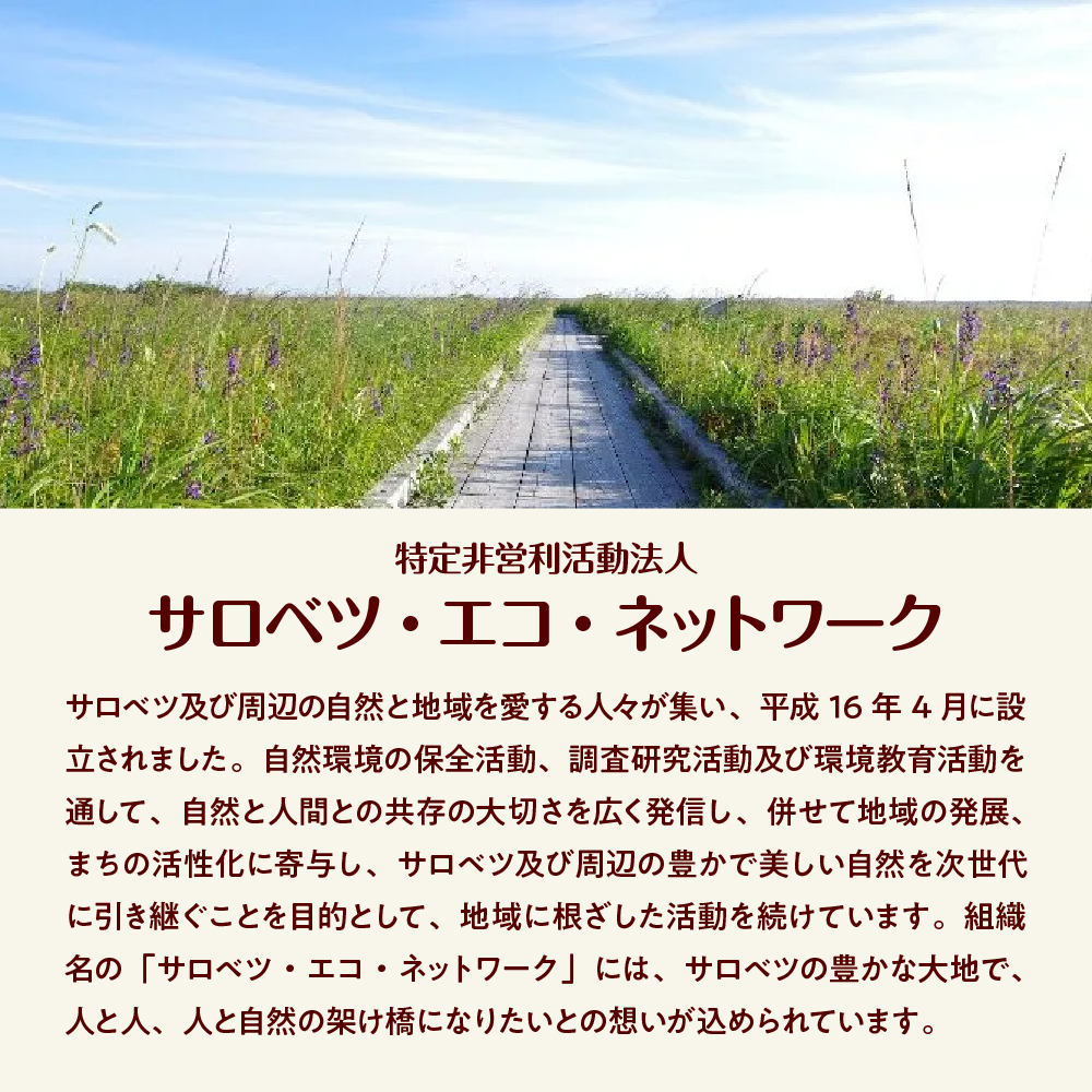 サロベツ湿原体験！木道自然ガイド 1名様【5〜9月】