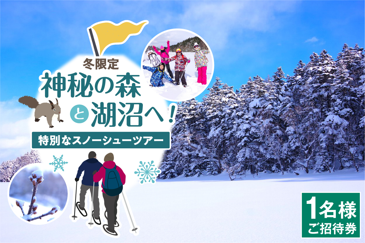 神秘の森と湖沼へ！特別なスノーシューツアー