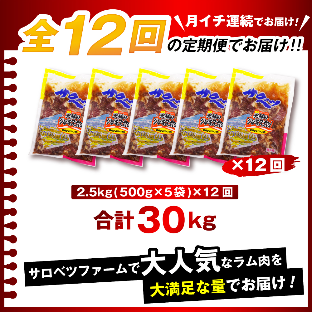 【12か月定期便】王様のジンギスカン（味付きラムロース）5袋(2.5kg)×12回 計30kg