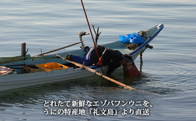 北海道礼文島産 採れたてキタムラサキウニ（塩水パック）100g×2|JAL