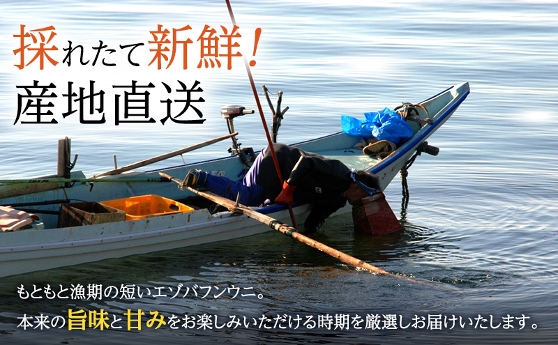 北海道 礼文島産 採れたて バフンウニ  塩水パック 100g×10  生うに 生ウニ  塩水うに