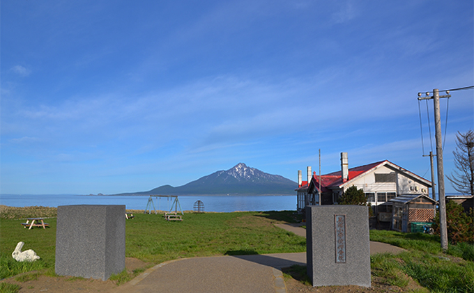 北海道礼文島産 採れたてキタムラサキウニ（塩水パック）100g×2|JAL