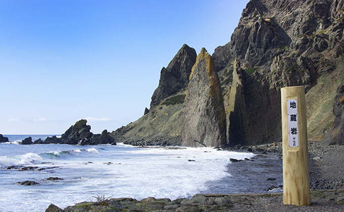 北海道 礼文島産 採れたて バフンウニ 塩水パック 100g×3 生うに 生