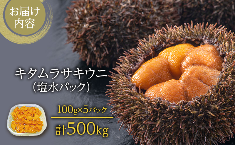 北海道 礼文島産 採れたて キタムラサキウニ 塩水パック 100g×5 生うに 生ウニ  塩水うに