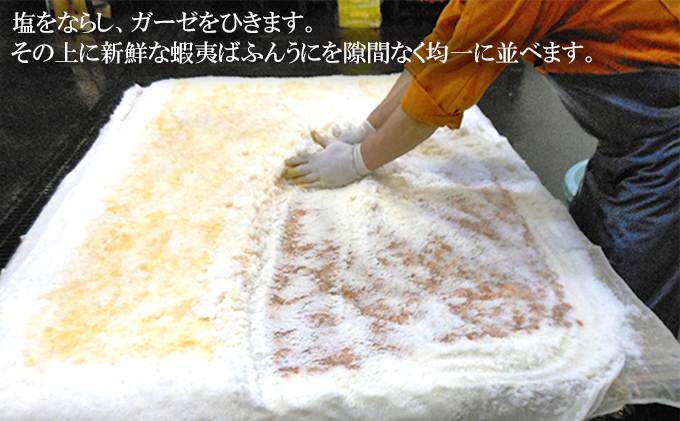 北海道礼文島産 礼文の純粒うに100g×1|JALふるさと納税|JALのマイルが