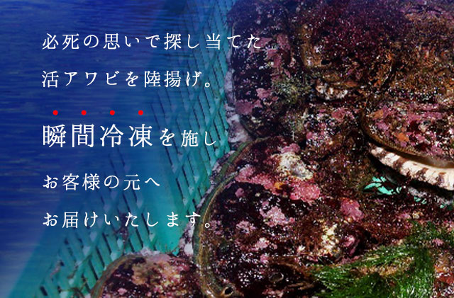 礼文島産　凍結島アワビSサイズ3個 旬凍うに食べ比べセット