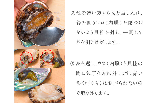 礼文島産　凍結島アワビ　Sサイズ 5個 魚貝類 魚介類 鮑利尻昆布 良質 瞬間冷凍 磯の香り コリコリ 獲れたて 甘い 贈り物 