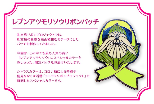 【礼文島リボンプロジェクト】昆布しょうゆ 500ml×5本 自然保護 環境保全 利尻昆布エキス 塩分控えめ 上品な醤油 刺身醤油 味付け 