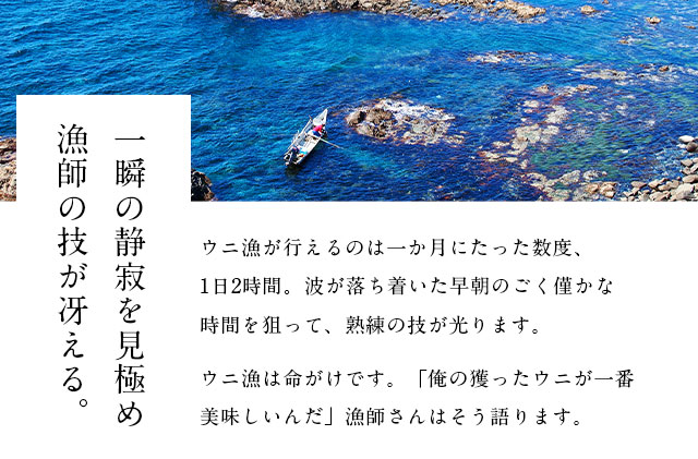蛹玲オキ驕鍋、シ譁蟲カ逕」縲譌ャ蜃阪く繧ソ繝繝ゥ繧オ繧ュ繧ヲ繝80gテ1 鬲夊イ晞。 髮イ荳ケ 豌キ邨 縺縺ォ