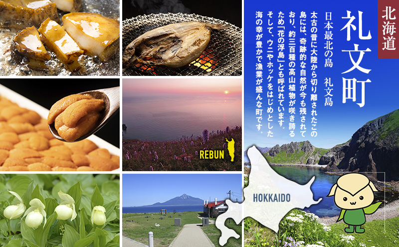 北海道 礼文島産 旨み凝縮 エゾバフンウニ 甘塩一夜漬 60g×1本［株式会社やまじょう］【 うに ウニ 雲丹 一夜漬け 塩うに バフンウニ 珍味 おつまみ 酒の肴 ご飯のお供 贈答 ギフト 】