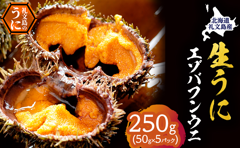 北海道 礼文島産 採れたて バフンウニ 塩水パック 50g×5 生うに 生ウニ 塩水うに 魚貝類 雲丹
