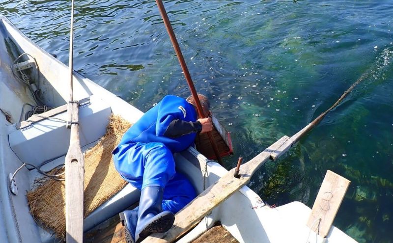 [北海道 礼文島産] 熟成ねかせ昆布粉 45g×3個【 天然だし 出汁 万能調味料 調理 昆布 昆布粉 粉 粉末 海鮮 離乳食 減塩 】