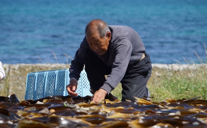 [北海道 礼文島産] 天然 寒岩のり 3枚 【 海苔 岩海苔 海藻手作り 磯の香り ご飯のお供 ラーメン 味噌汁 】