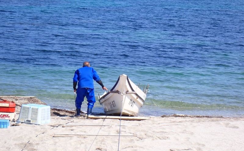 [北海道 礼文島産] 天然 天日干しわかめ 80g×2袋セット 【 ワカメ 海藻 磯の香り 肉厚 味噌汁 サラダ 酢の物 健康 】