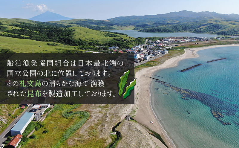 北海道礼文島産 とろろ昆布 200g×3 加工品 加工食品 海の幸 海藻 食材 料理 お吸い物 おにぎり お茶漬け トッピング 北海道産 小分け 