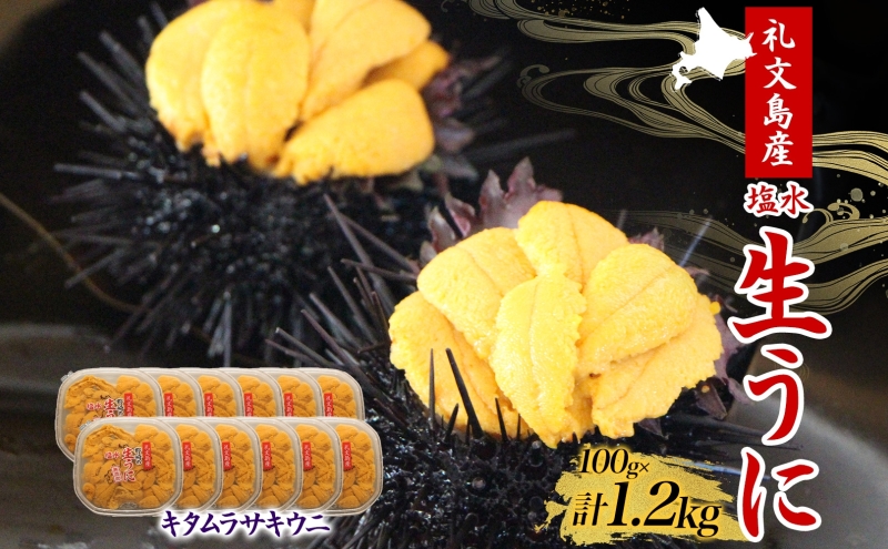 北海道 礼文島産  塩水ウニ （ キタムラサキウニ ）100g×12  生うに うに 雲丹  魚貝類 1.2kg