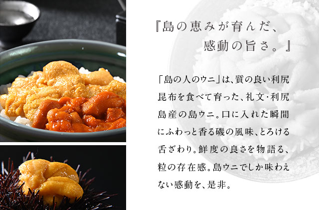蛹玲オキ驕鍋、シ譁蟲カ逕」縲譌ャ蜃阪く繧ソ繝繝ゥ繧オ繧ュ繧ヲ繝80gテ1 鬲夊イ晞。 髮イ荳ケ 豌キ邨 縺縺ォ