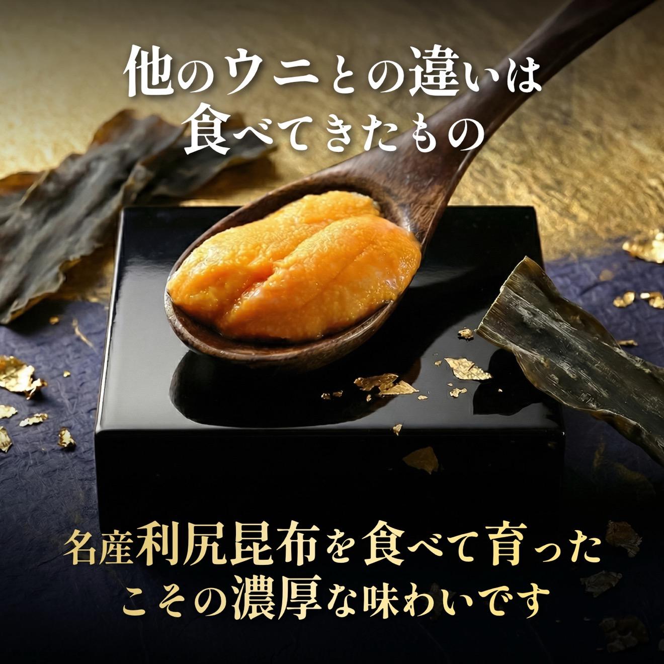【2026年発送受付】利尻島産「朝どり」塩水生うに100g (100g×1) 天然キタムラサキウニ【7~8月発送分】｜北海道 朝獲れ 天然 塩水  無添加 ミョウバン不使用 [1090029]
