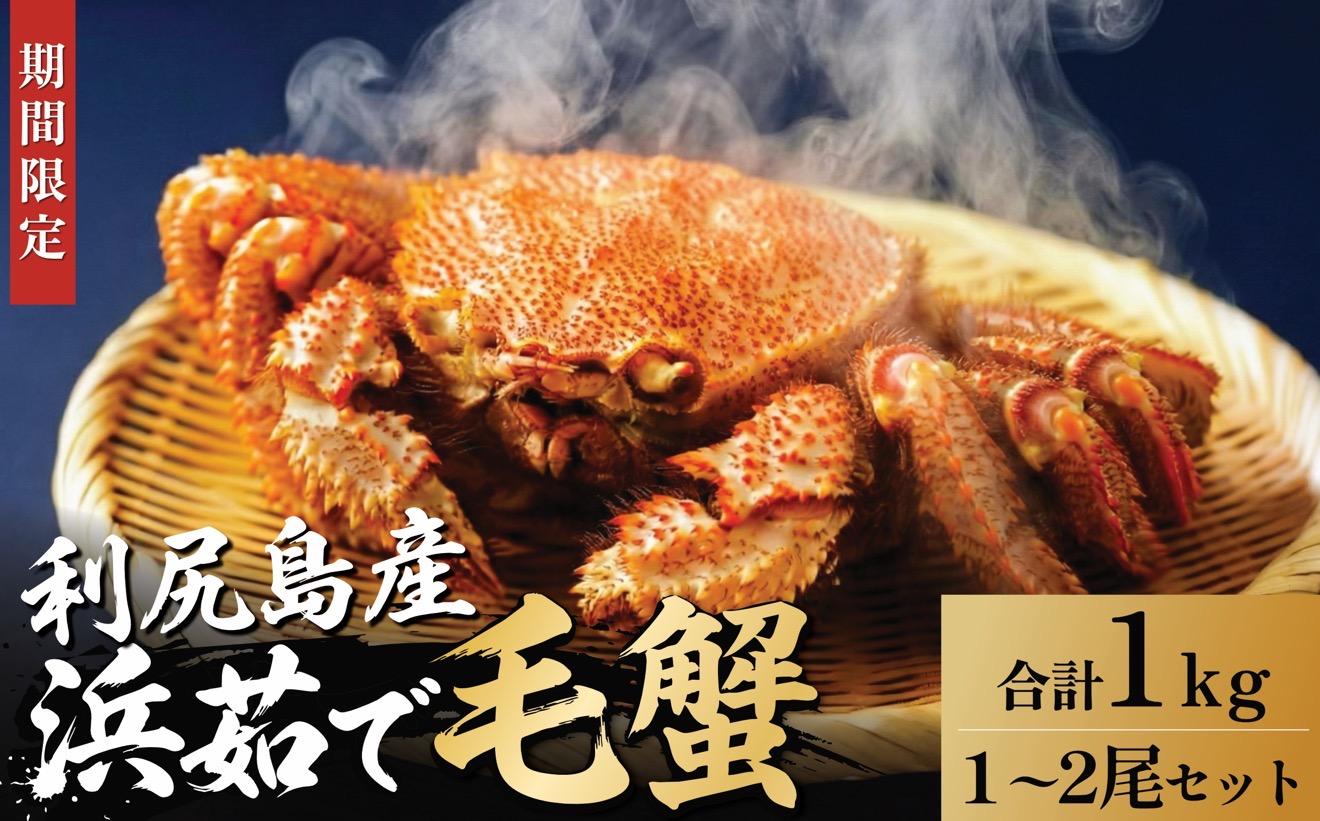 【2026年先行受付】北海道産 浜茹で毛ガニ 合計約1kg（未冷凍・チルド配送）利尻産【1月より順次出荷】｜毛蟹 蟹 かに カニ味噌 蟹味噌 ボイル 海鮮 魚介 [1060140]