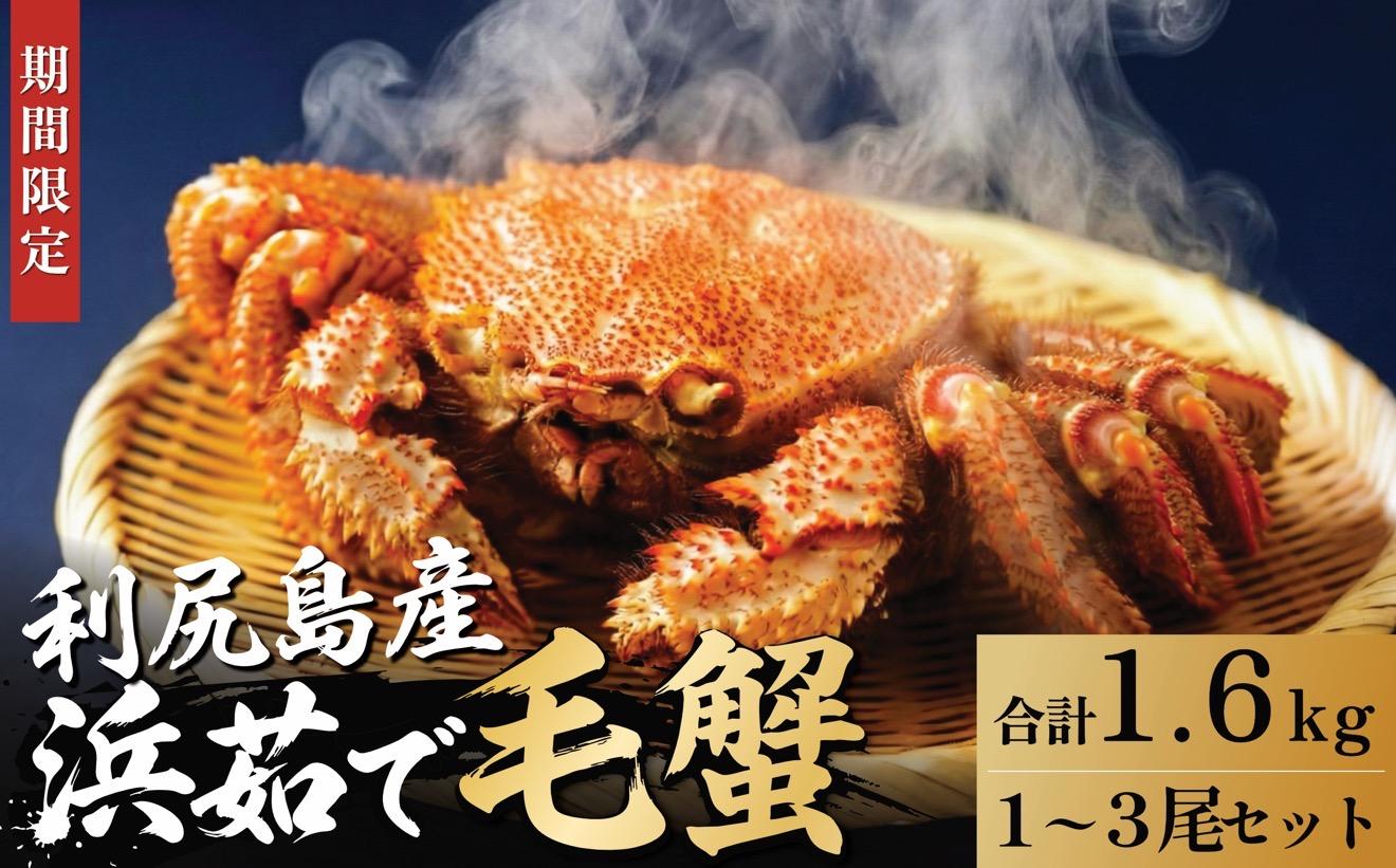 【2026年先行受付】北海道産 浜茹で毛ガニ 合計約1.6kg（未冷凍・チルド配送）利尻産【1月より順次出荷】｜毛蟹 蟹 かに カニ味噌 蟹味噌 ボイル 海鮮 魚介 [1060143]