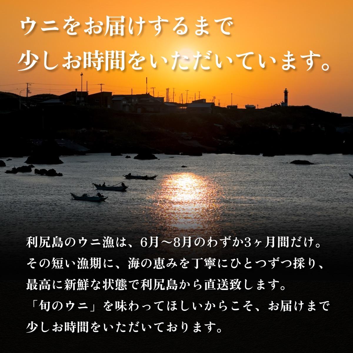 【2026年発送受付】利尻産「朝どり」生うに 食べ切り塩水パック50g×2（ムラサキウニ）【6~8月発送分】｜北海道 朝獲れ 天然 塩水  無添加 ミョウバン不使用 [1090026]
