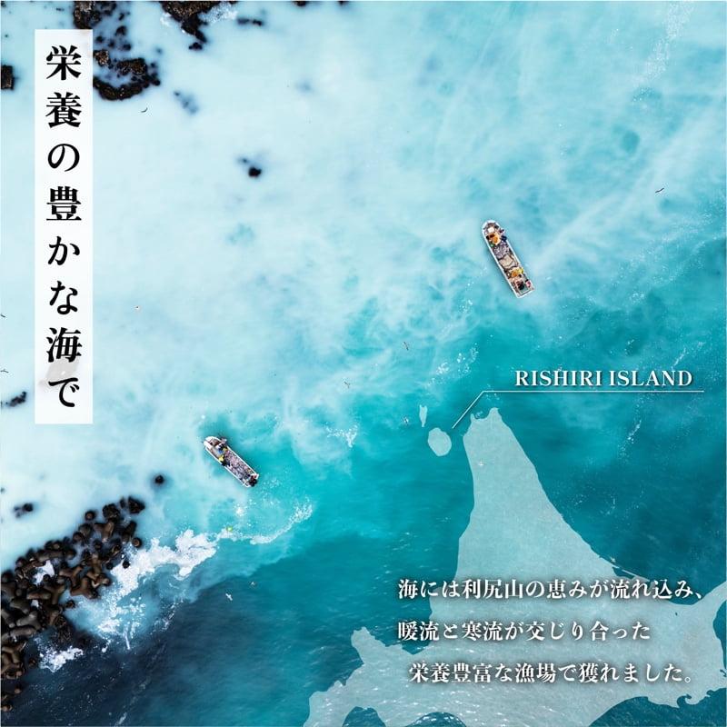利尻島産 開きニシン10枚｜魚 干物 ひもの ニシン 開き 魚介類 利尻 [1060009]