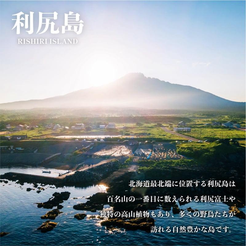 利尻島産 開きニシン10枚｜魚 干物 ひもの ニシン 開き 魚介類 利尻 [1060009]