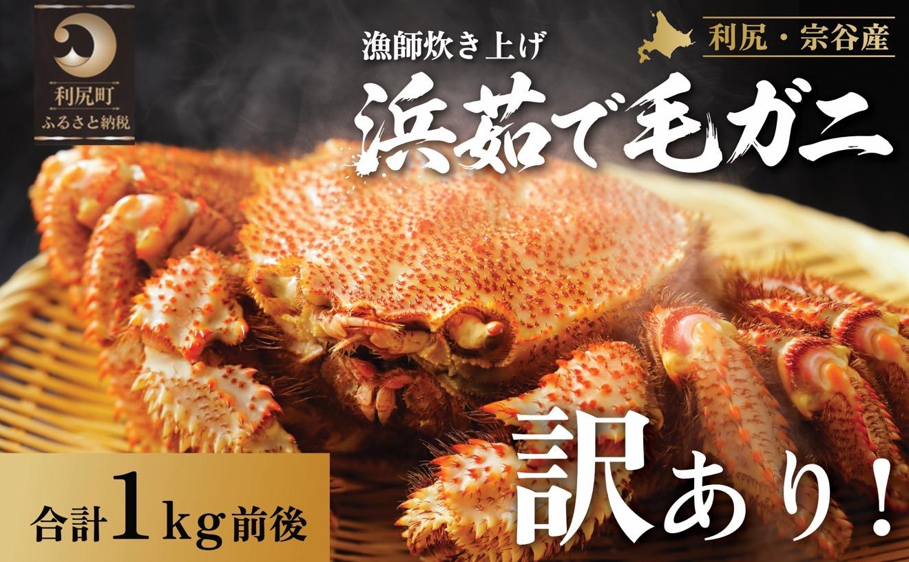 【2026年先行受付】北海道産 【訳あり】 浜茹で毛ガニ 合計1kg前後（未冷凍・チルド配送）利尻・宗谷産【2月より順次出荷】｜毛蟹 蟹 かに カニ味噌 蟹味噌 ボイル 海鮮 魚介 [1060054]
