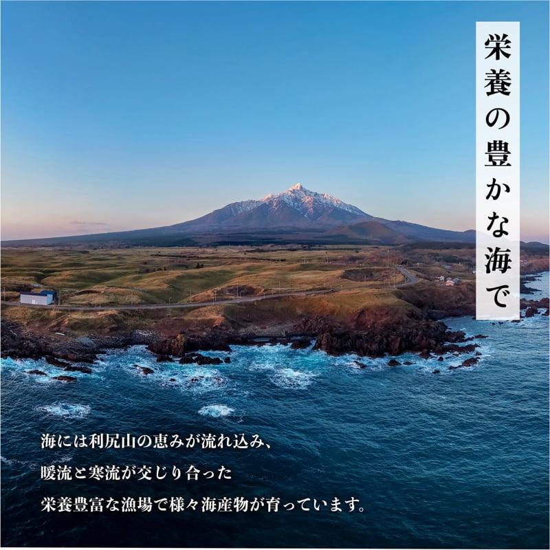 【2026年先行受付】北海道産 浜茹で毛ガニ 合計約2kg（未冷凍・チルド配送）利尻・宗谷産【2月より順次出荷】｜毛蟹 蟹 かに カニ味噌 蟹味噌 ボイル 海鮮 魚介 [1060051]