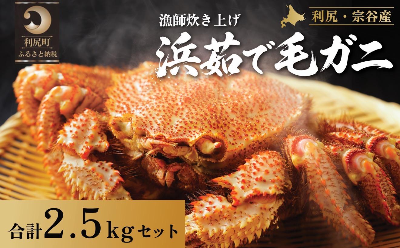 【2026年先行受付】北海道産 浜茹で毛ガニ 合計約2.5kg（未冷凍・チルド配送）利尻・宗谷産【2月より順次出荷】｜毛蟹 蟹 かに カニ味噌 蟹味噌 ボイル 海鮮 魚介 [1060053]