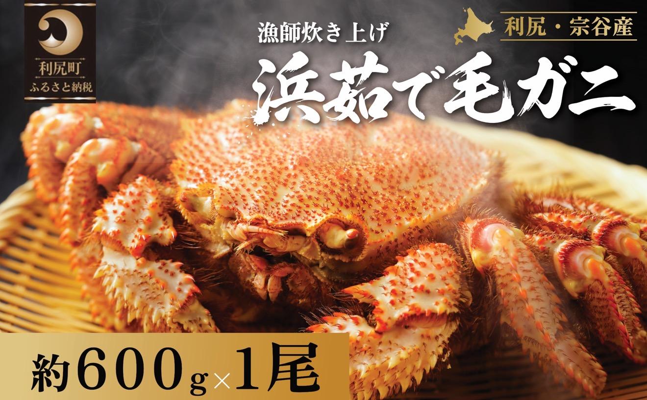 【2026年先行受付】北海道産 浜茹で毛ガニ　600g前後×1尾（未冷凍・チルド配送）利尻・宗谷産【2月より順次出荷】｜毛蟹 蟹 かに カニ味噌 蟹味噌 ボイル 海鮮 魚介 [1060047]