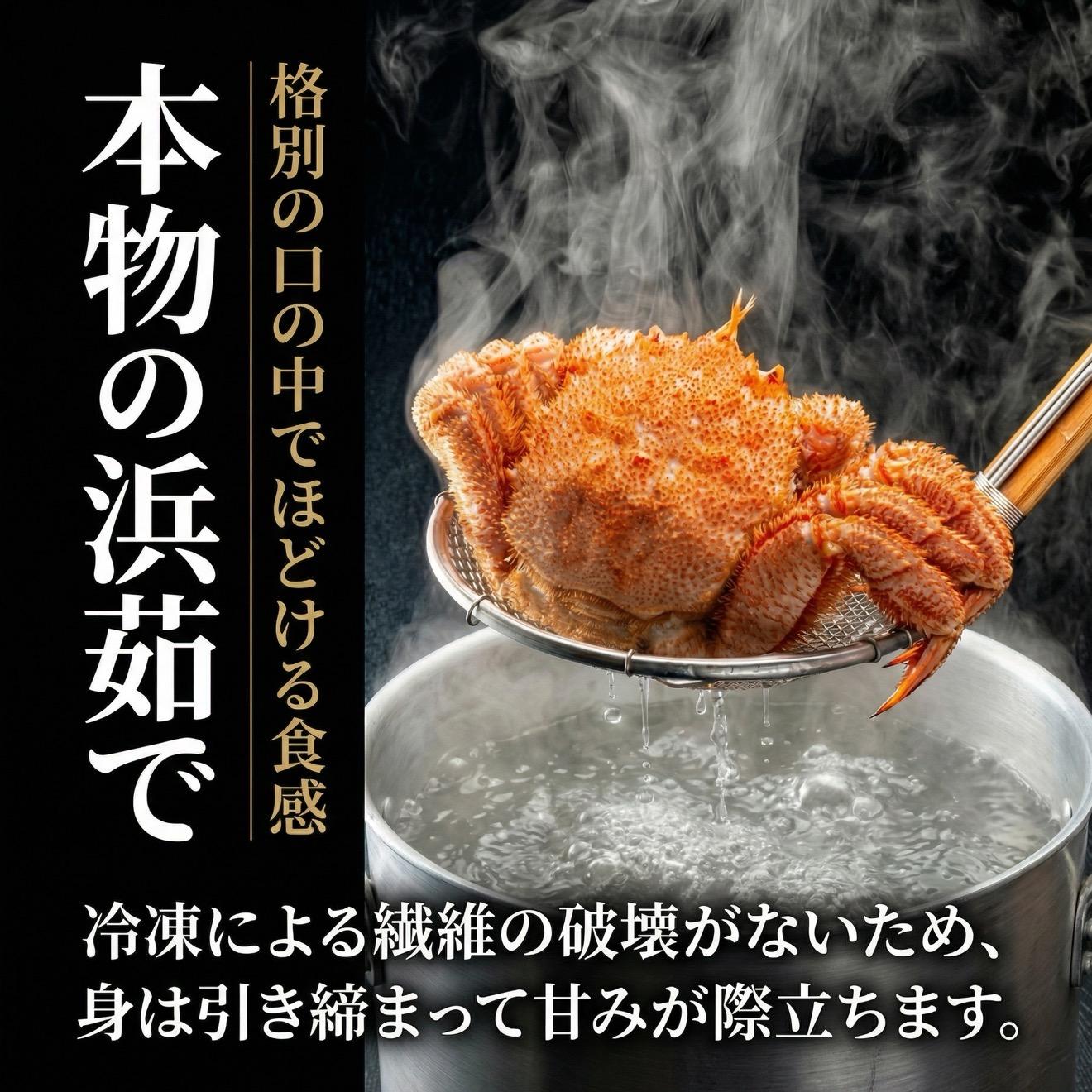 【2026年先行受付】北海道産 浜茹で毛ガニ 合計約1.6kg（未冷凍・チルド配送）利尻・宗谷産【2月より順次出荷】｜毛蟹 蟹 かに カニ味噌 蟹味噌 ボイル 海鮮 魚介 [1060050]