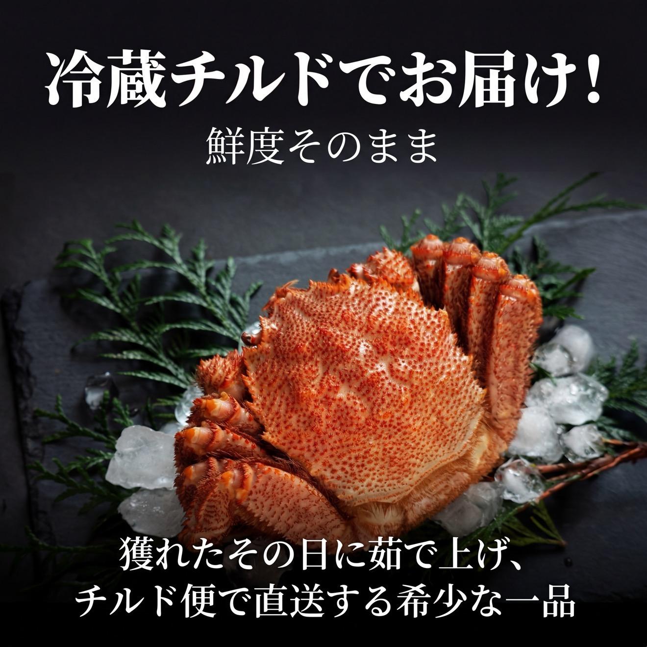 【2026年先行受付】北海道産 浜茹で毛ガニ 合計約1.6kg（未冷凍・チルド配送）利尻・宗谷産【2月より順次出荷】｜毛蟹 蟹 かに カニ味噌 蟹味噌 ボイル 海鮮 魚介 [1060050]