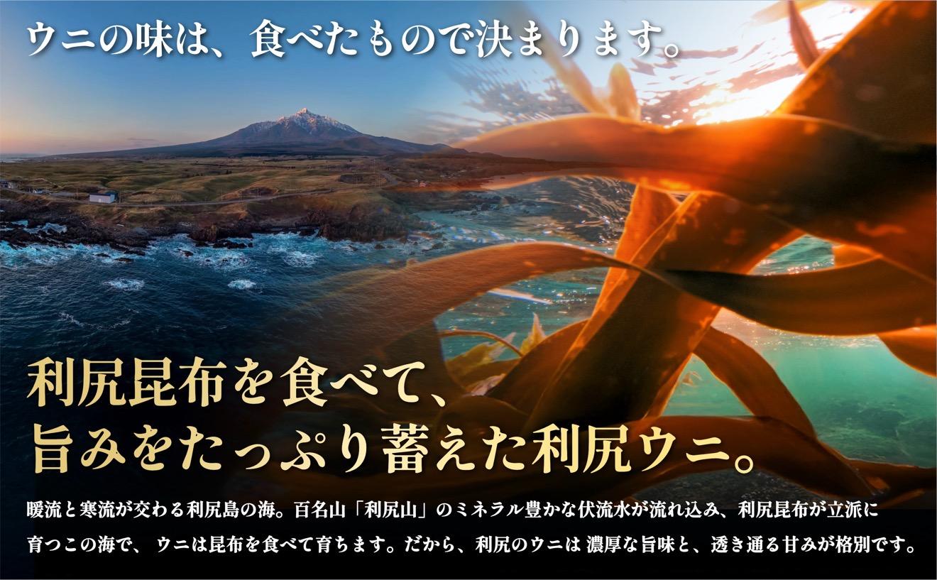 【2026年発送受付】漁師厳選！利尻天然うに”プレミアム”ムラサキウニ 200g塩水パック【2026年6～8月発送分】｜北海道 天然 朝獲れ 塩水ウニ 無添加 ミョウバン不使用 [1060076]