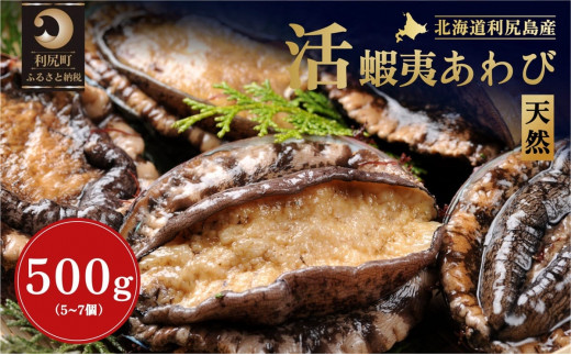【2025年発送受付】北海道利尻島産 天然〈活〉蝦夷アワビ500g（5～7個）【10月下旬～12月下旬発送】 [1030022]